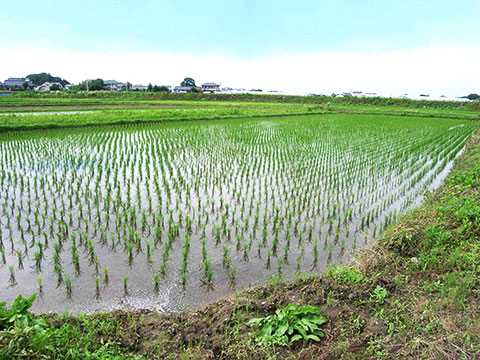 陸砂利の採取・販売